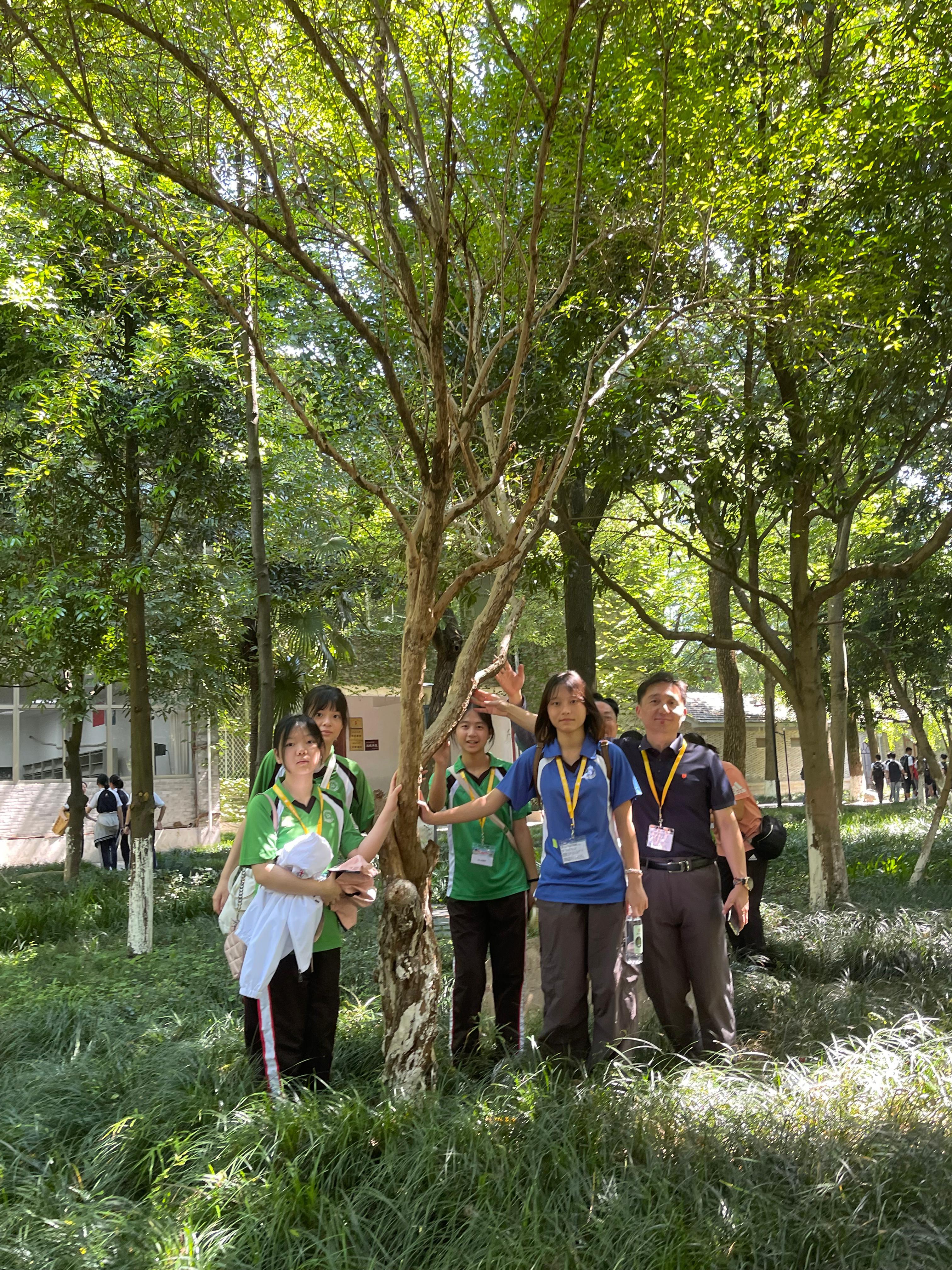 學生代表在2017年兩校於衢州二中校園攜手種植的樹旁合照留念